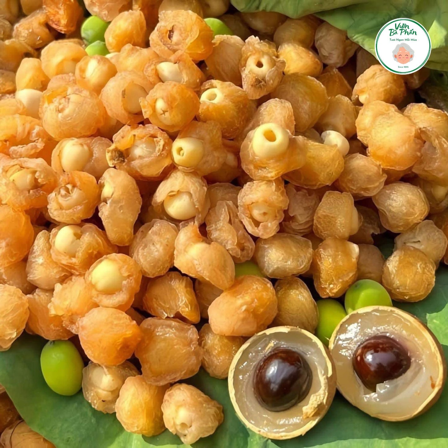 Long nhãn ôm sen
