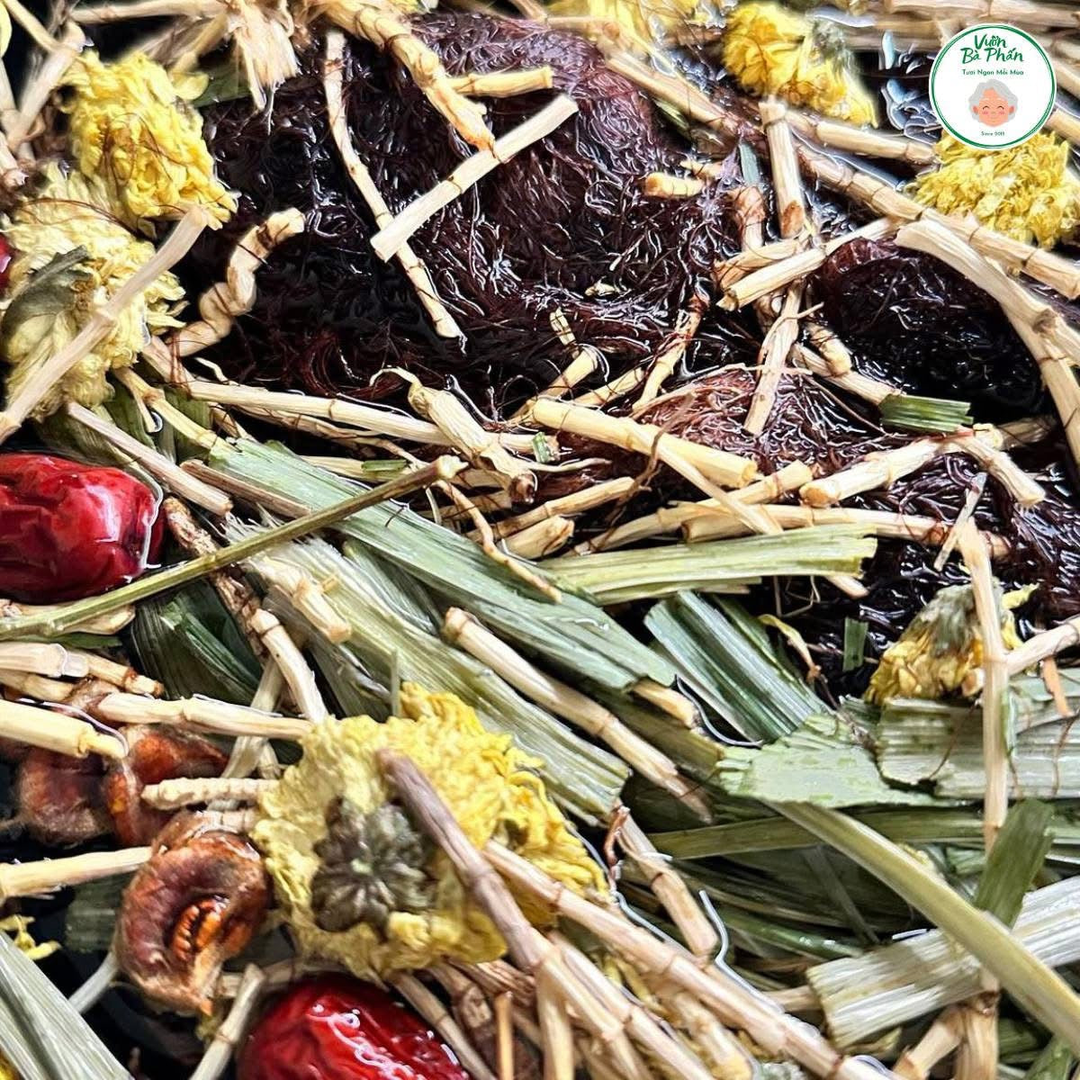 Sâm bông cúc thanh nhiệt