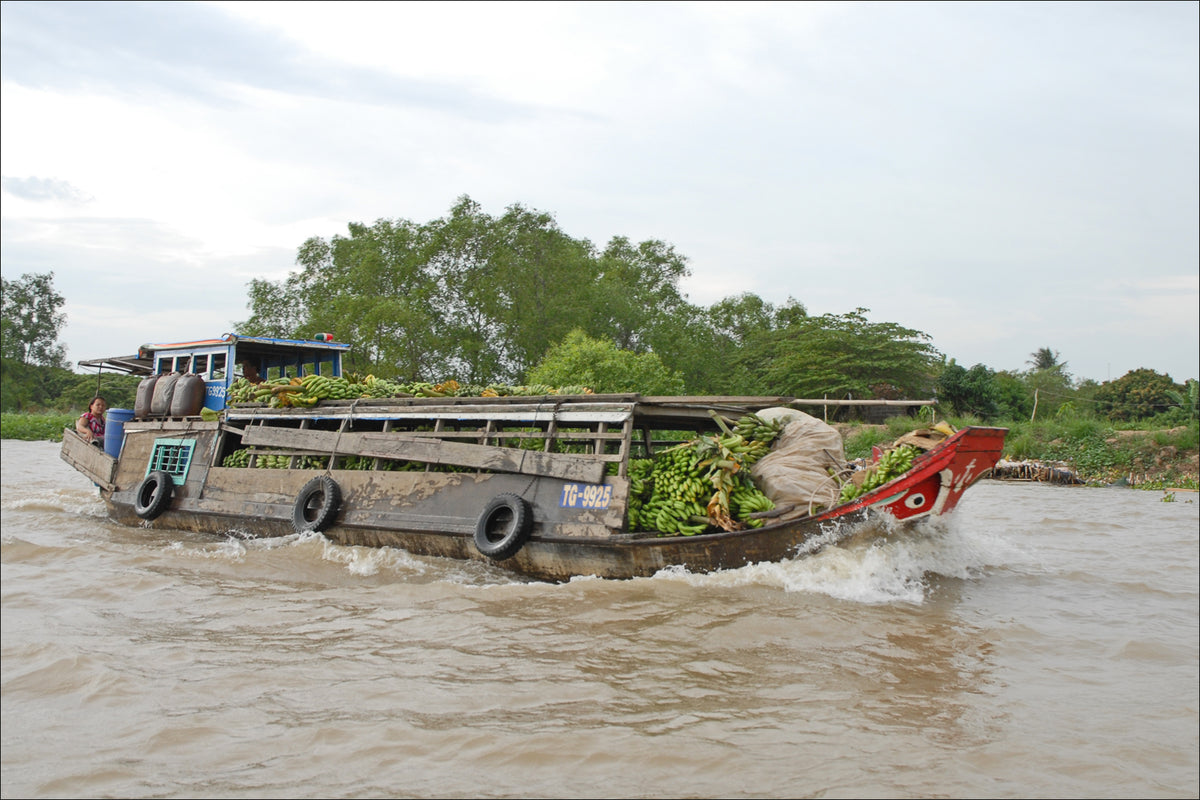Ghe chở chuối trên kênh ở đồng bằng sông Cửu Long