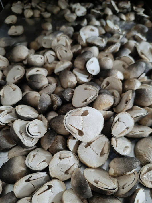 Nấm rơm sấy thăng hoa