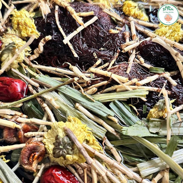 Sâm bông cúc thanh nhiệt