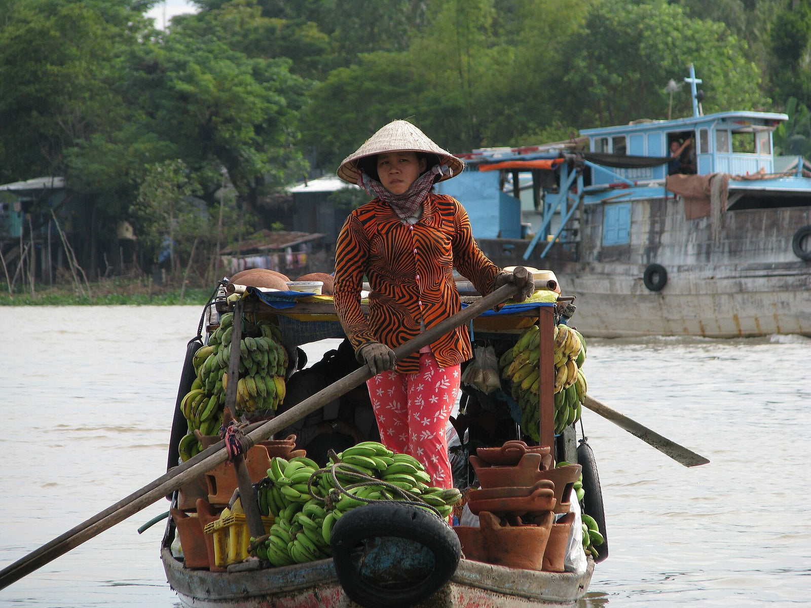 Ghe chở chuối chín đi chợ trên sông miền Tây